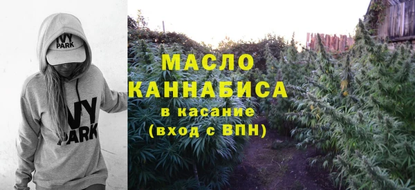 Альфа ПВП Бородино