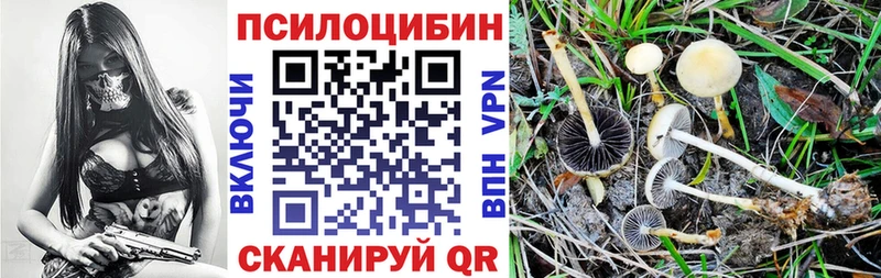 Галлюциногенные грибы Psilocybine cubensis  купить наркоту  MEGA ONION  Дмитриев 